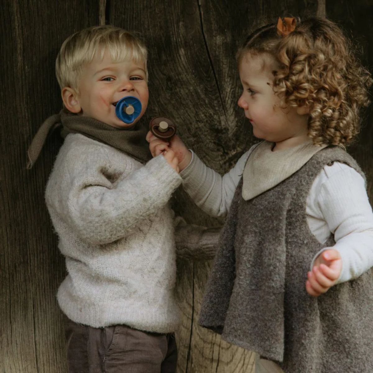 Protective Curved Shield with Ventilation